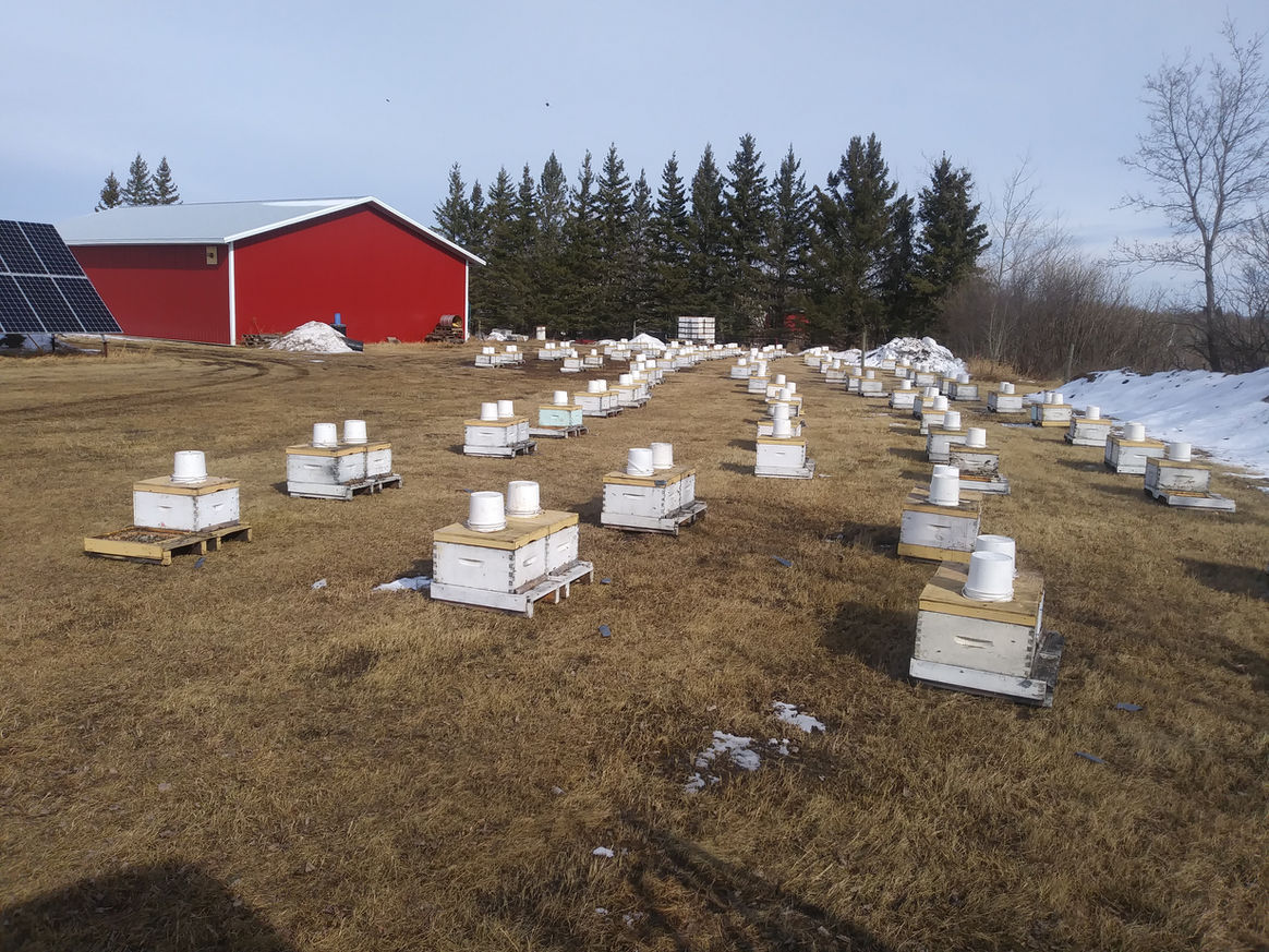 2021 Season photo 25